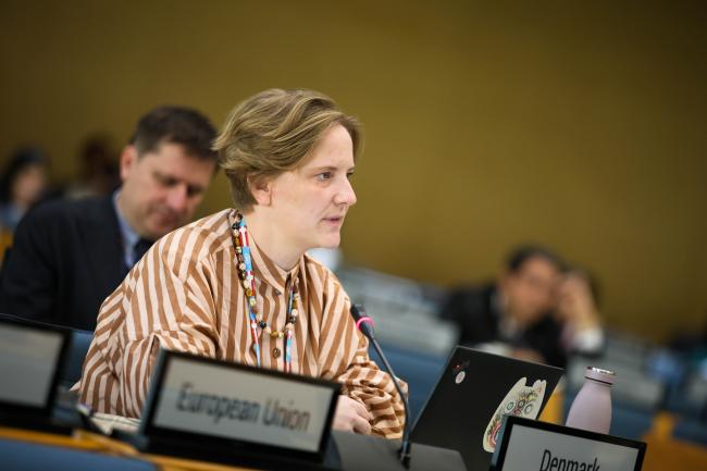Sidsel Bjøl, EU