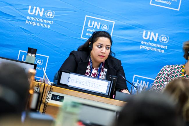Sara Elkhouly, Egypt, Co-Facilitator of Cluster B 