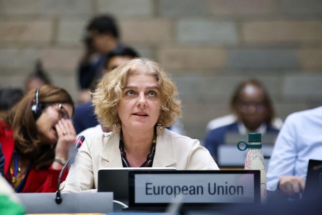 Monika Hencsey, EU 