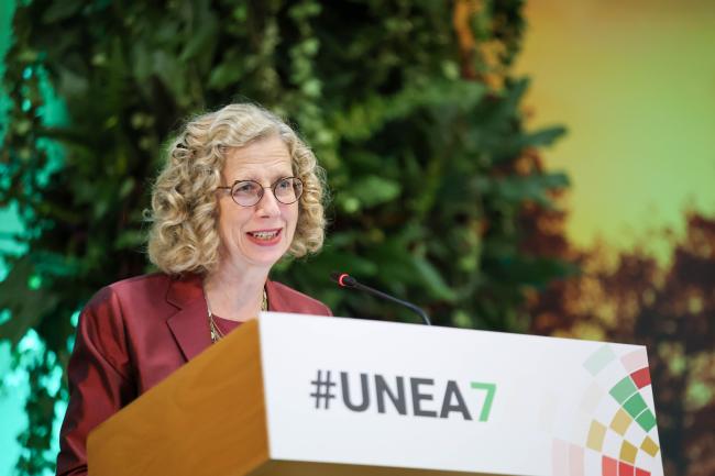 Inger Andersen, Executive Director, UNEP 