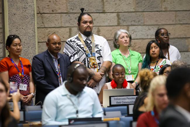 Indigenous Peoples and their Communities 