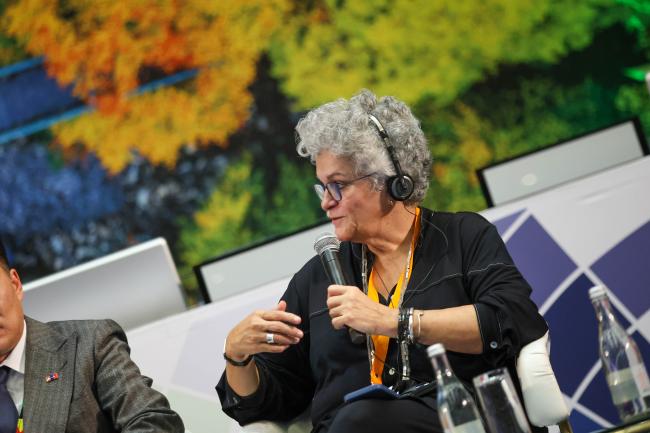 Izabella Teixeira, Co-Chair, International Resources Panel, UNEP 
