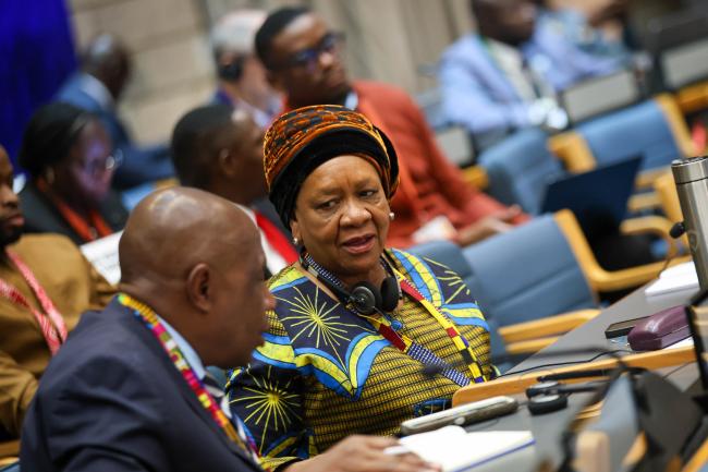 Evelyn Ndlovu, Minister of Environment, Climate and Wildlife, Zimbabwe 