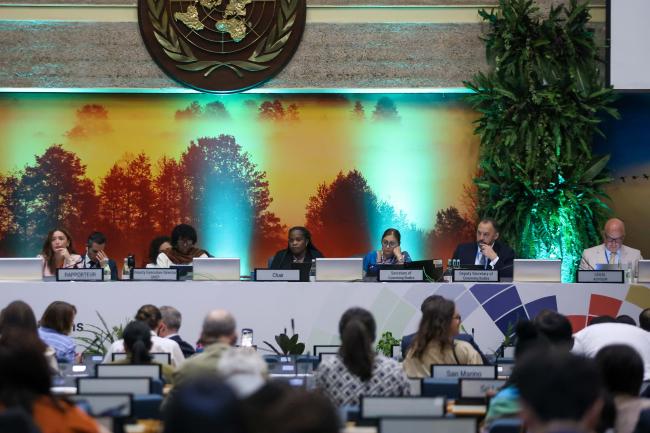 A view of the dais Closing plenary