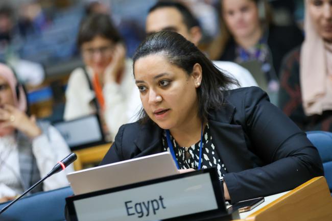 Sara Elkhouly, Egypt, Co-Chair of Cluster B 