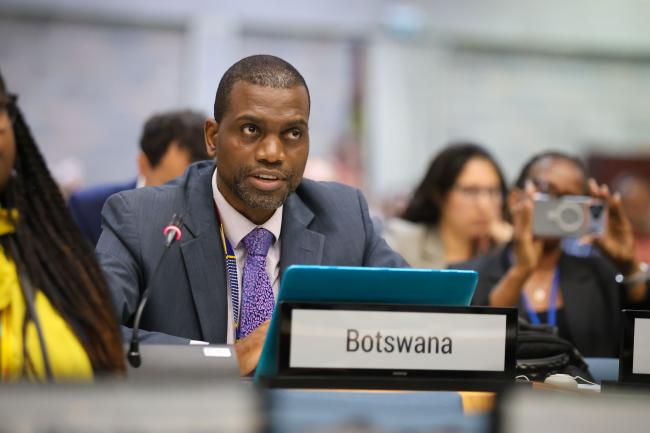 Ontumetse Ontumetse, Botswana, Co-Chair of Cluster C 