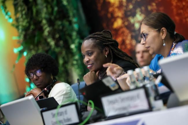 Joyelle Clarke, Chair, Committee of the Whole 
