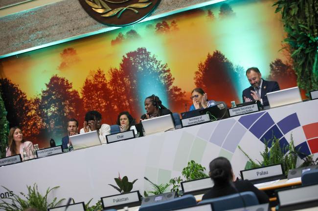 View of the dais during the closing plenary of the Committee of the Whole