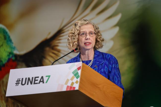 Inger Andersen, Executive Director, UNEP
