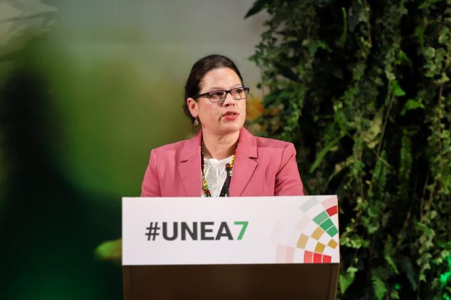 Jeanne-Marie Huddleston, Chair, Executive Body of the Air Convention, UNECE