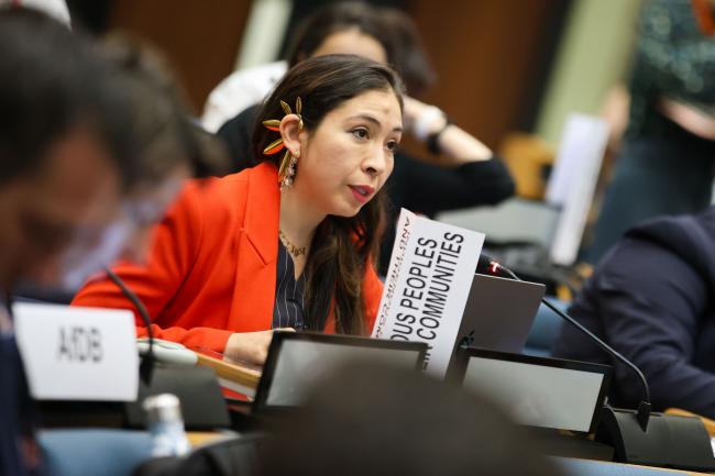 Yolanda López-Maldonado, Indigenous Peoples and their Communities 
