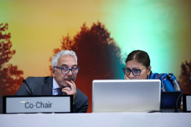 Nader Al-Tarawneh, Jordan, Co-Chair of Cluster D, and Radhika Ochalik, Secretary, Governing Bodies and Stakeholders, UNEP