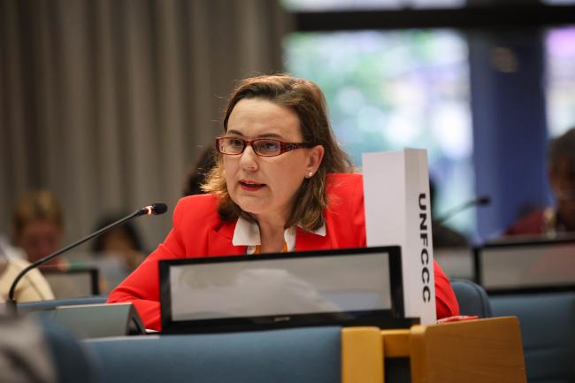 Noura Hamladji, Deputy Executive Secretary, UNFCCC