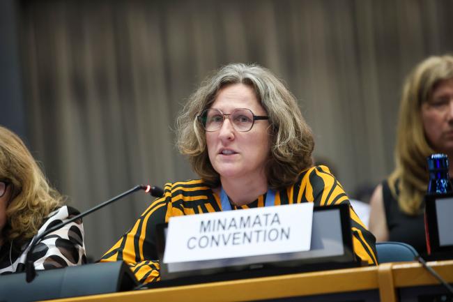 Monika Stankiewicz, Executive Secretary, Minamata Convention
