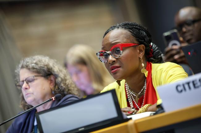 Musonda Mumba, Secretary General, Convention on Wetlands 