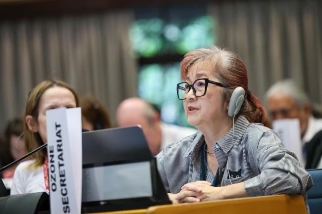 Megumi Seki, Executive Secretary, Ozone Secretariat 