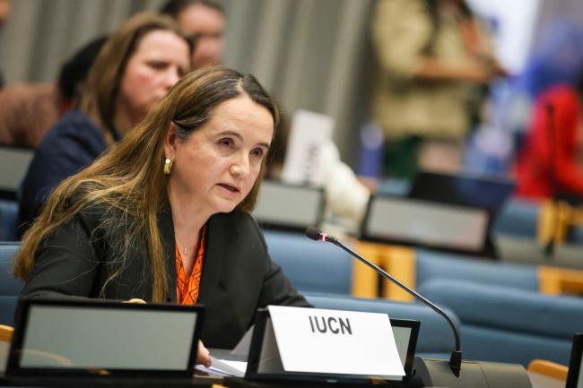 Grethel Aguilar, Director General, International Union for Conservation of Nature (IUCN) 