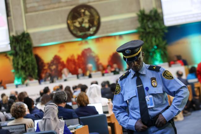 UN security 