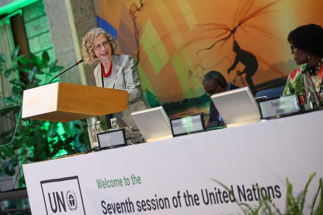 Inger Andersen, Executive Director, UNEP