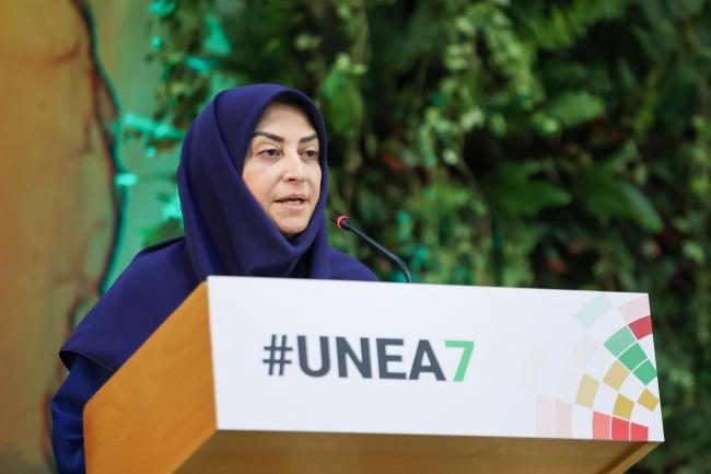 Shina Ansari, Vice-President of Iran 