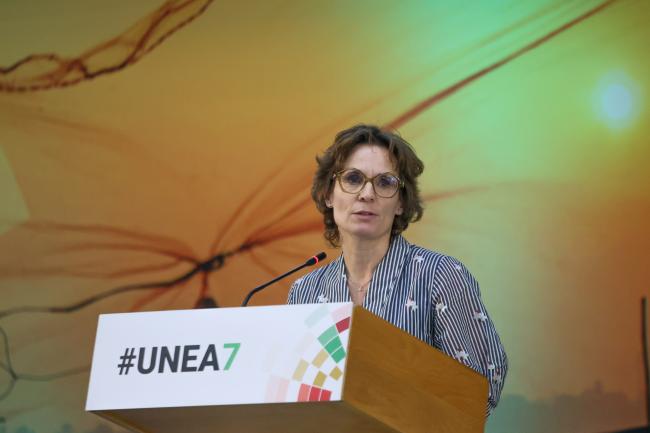 Jessika Roswall, European Commissioner for Environment, Water Resilience and a Competitive Circular Economy 