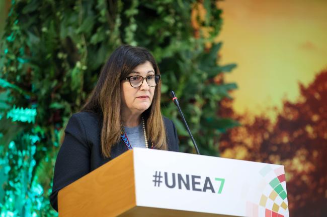 Varsen Aghabekian, Minister of Foreign Affairs and Expatriates of the Palestinian National Authority, Palestine 