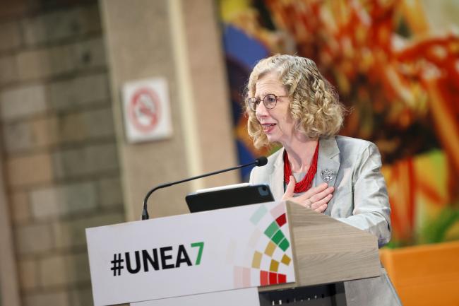 Inger Andersen, Executive Director, UNEP