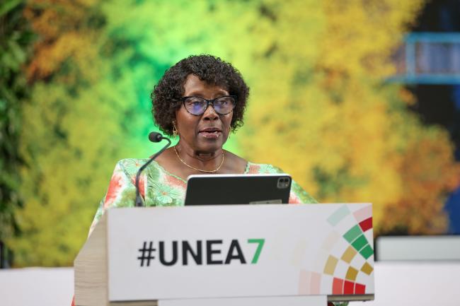 Elizabeth Maruma Mrema, Deputy Executive Director, UNEP