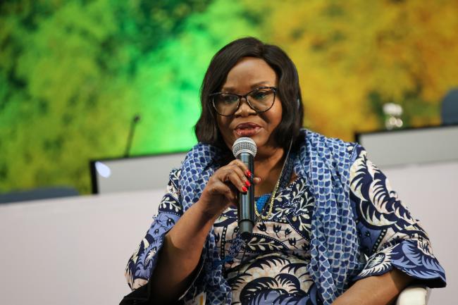 Marie Nyange Ndambo, Minister of Environment, Democratic Republic of Congo 