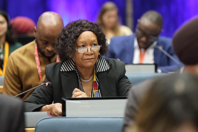 Evelyn Ndlovu, Minister of Environment, Climate and Wildlife, Zimbabwe 