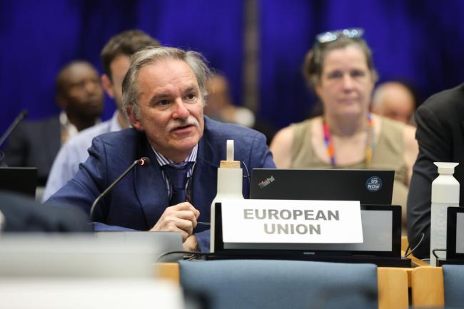 Luca Marmo, EU 