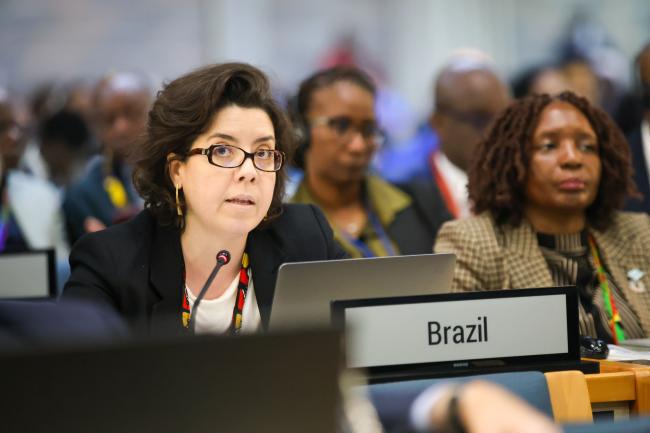 Carolina Hippolito Von Der Weid, Brazil, on behalf of BRICS 