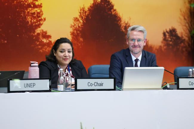 Sara Elkhouly, Egypt, and Martin Röw, Germany, Co-Facilitators of Cluster B 