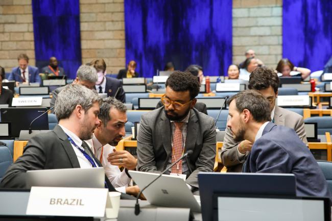 Delegates from Brazil and Iran consult