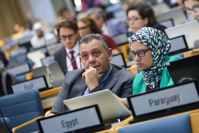 Delegates from Egypt 