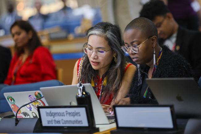 Representatives of Indigenous Peoples and their Communities 