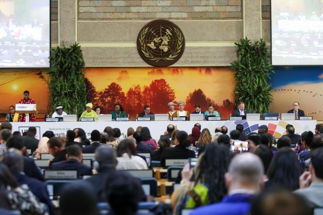 A view of the dais during the opening plenary 