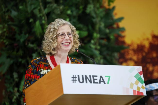 Inger Andersen, Executive Director, UNEP