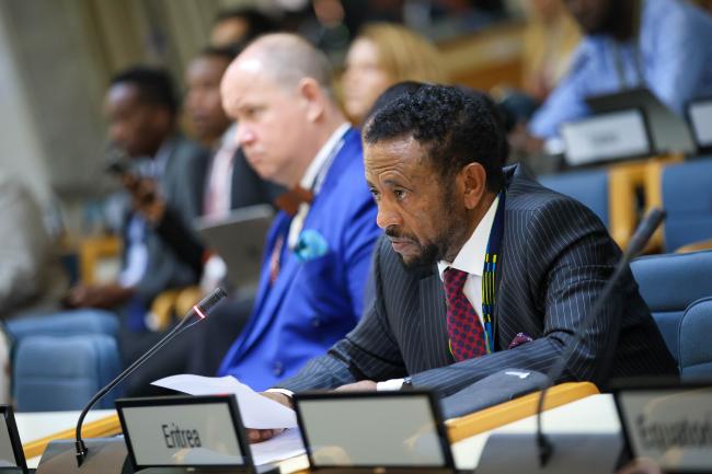Beyene Russom, Eritrea, on behalf of the African Group 
