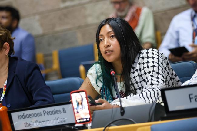 Erika Xananine Calvillo Ramirez, Indigenous Peoples and their Communities