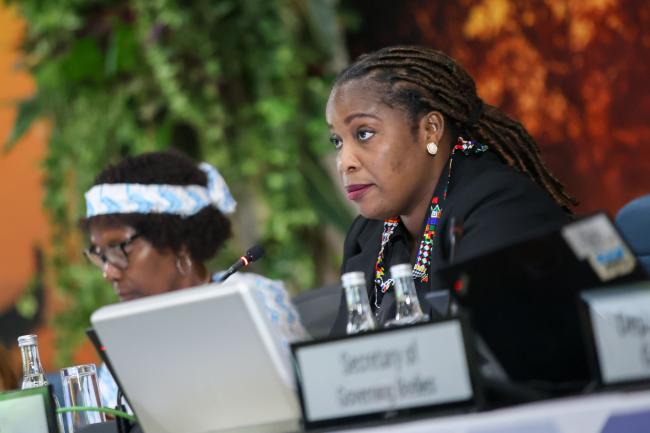 Joyelle Clarke, Chair, Committee of the Whole 