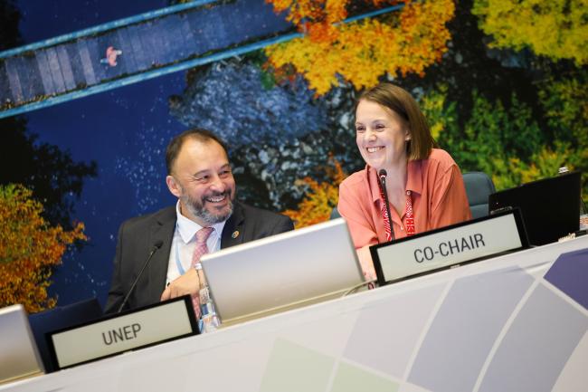 Juan Carlos Vasquez Murillo, Deputy Secretary, Governing Bodies, and Deputy Director, Governance Affairs Office, UNEP, and Marie Haraldstad, Norway, Co-Facilitator of Cluster A 