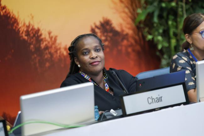 Joyelle Clarke, Chair, Committee of the Whole 