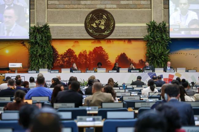 A view of the dais during the plenary 