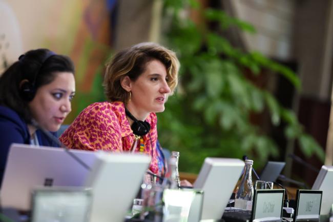 Marie-Pia Tixier, Programme and Management Analyst, Governance Affairs Office, UNEP 