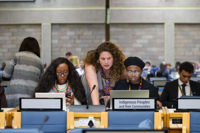 Representatives of Indigenous Peoples and their Communities