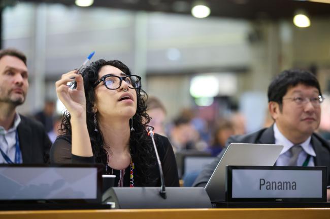 Mari Helena Castillo Mariscal, Panama