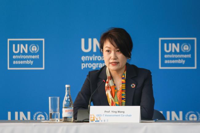 Yin Wang, GEO-7 Assessment Co-Chair