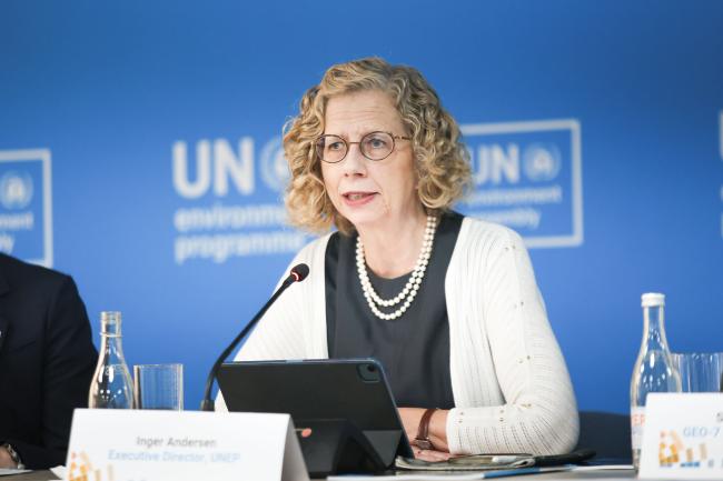 Inger Andersen, Executive Director, UNEP