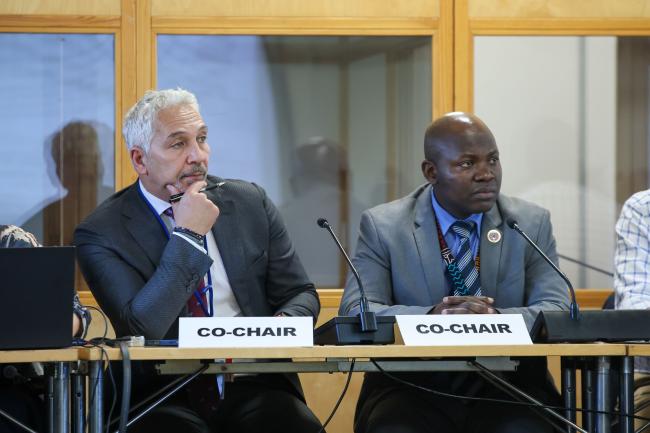 Nader Al-Tarawneh, Jordan, and Tobias Ogweno, Kenya, Co-Chairs of Cluster D 